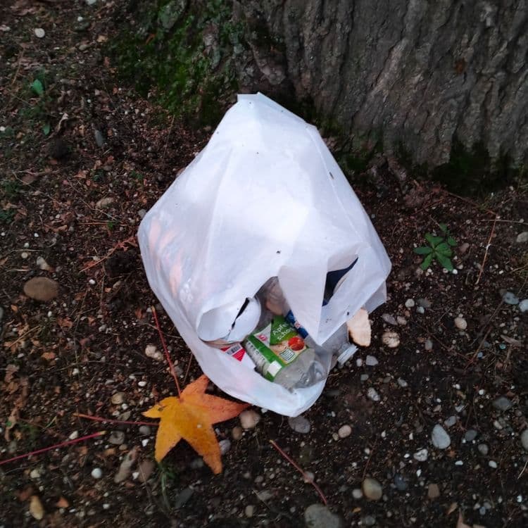 Sac poubelle abandonné au pied d'un arbre au bord de la piste cyclable 