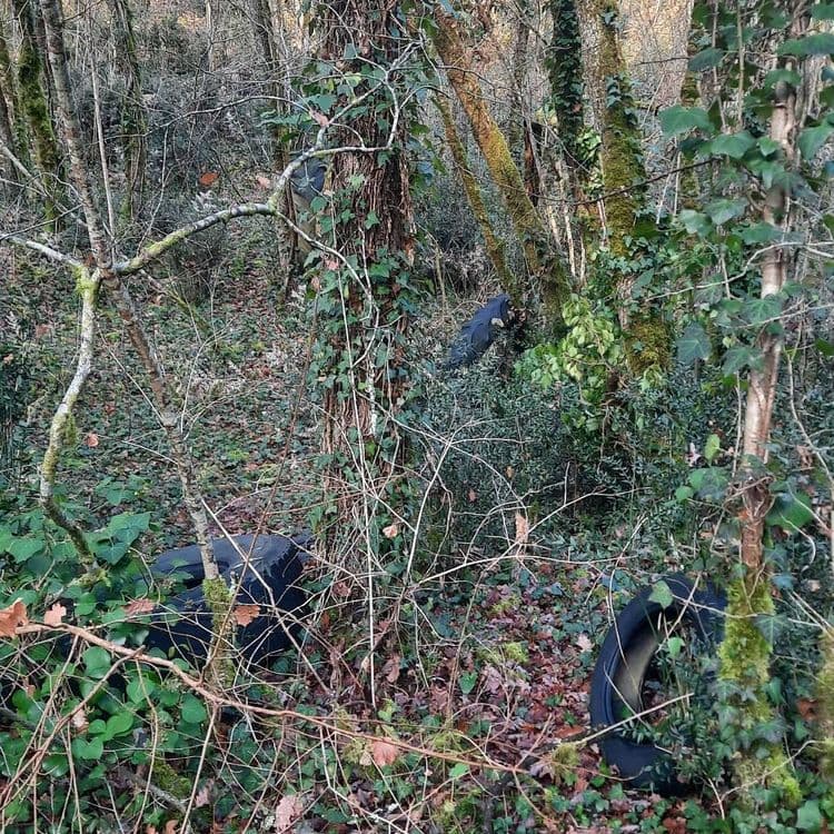 8 pneus  petits et grands diamètres drpises dans le bois
