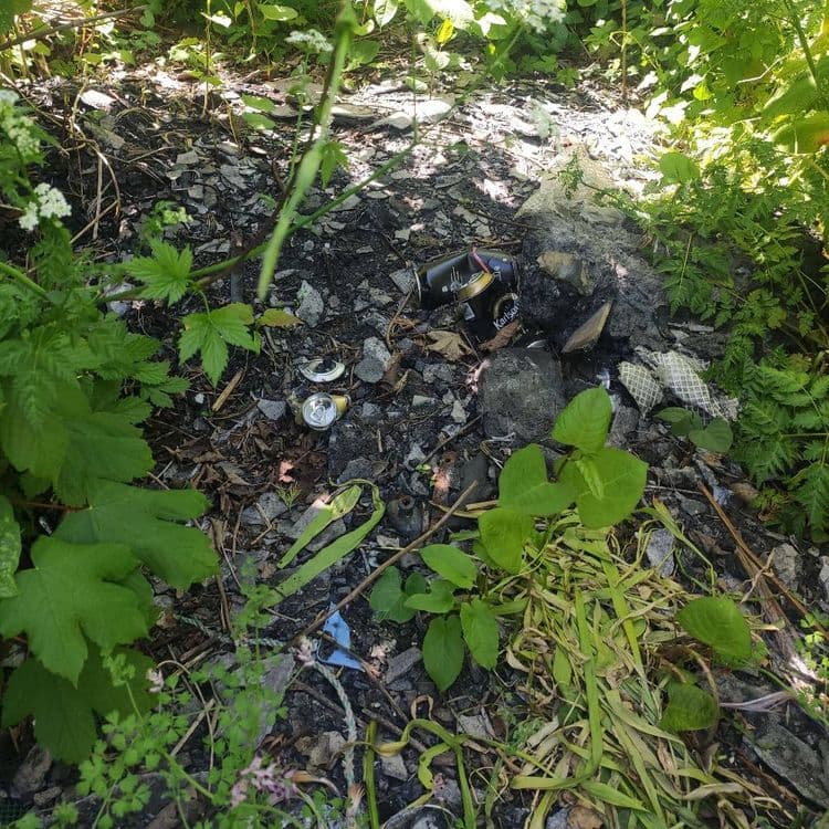 Déchets en tout genre le long du chemin 