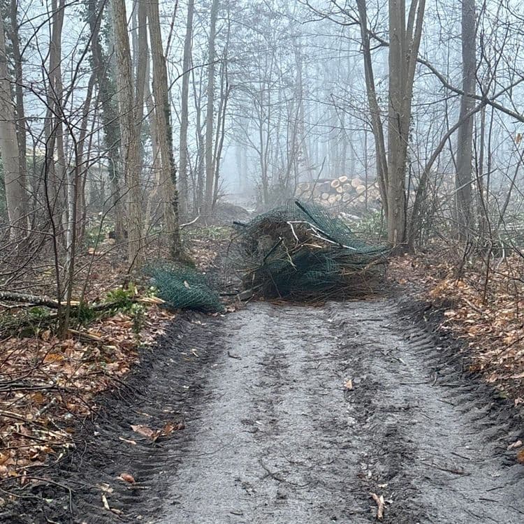 Voici une estimation des déchets présents sur l'image :

*   **Déchets verts** : Il y a un amas de branchages et de résidus de coupe. On peut estimer la quantité à environ 50 kilogrammes.
*   **Grillage** : Des morceaux de grillage, probablement issus de clôtures, sont également présents. La quantité estimée est d'environ 15 kilogrammes.
