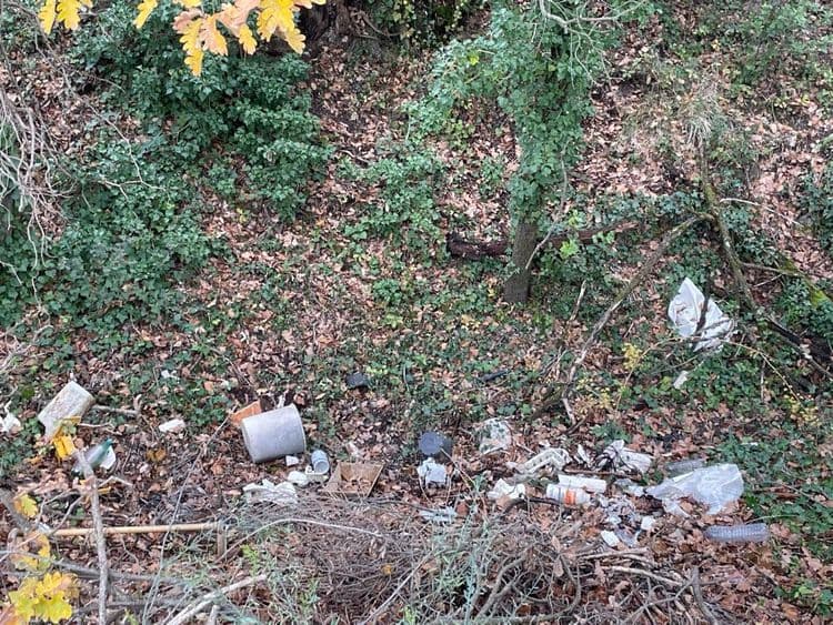 L'image révèle une variété de déchets abandonnés dans un environnement naturel. Les déchets ménagers sont également présents, incluant des bouteilles en plastique (environ 10 unités), des emballages plastiques (environ 15 unités), des canettes métalliques (environ 5 unités) et divers détritus (environ 2 kg). De plus, des déchets divers tels que des morceaux de bois et d'autres matériaux non identifiés sont visibles, avec un poids estimé à 1 kg.
