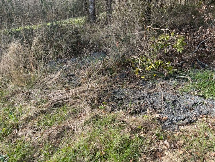 Goudron depose en bordure de bois