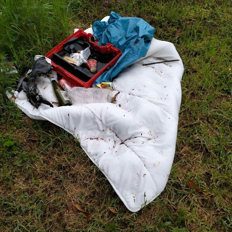 Déchets divers abandonnés au bord d'une route traversant un campus universitaire 