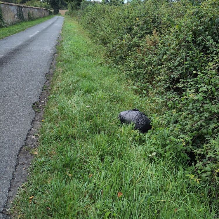 Sac poubelle le long du chemin Champs têtu 
