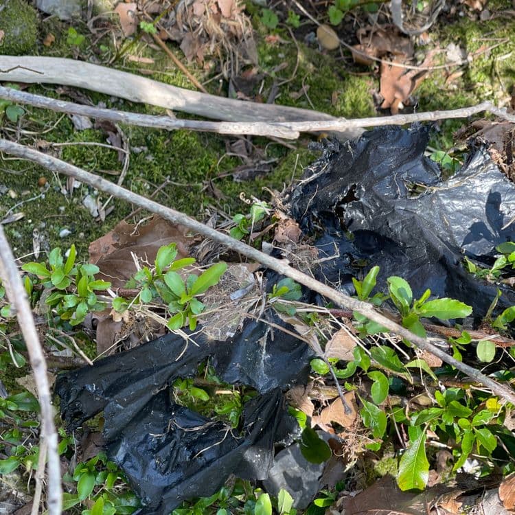 Sur la photo, on observe la présence de déchets suivants :

*   **Plastique noir :** Il semble s'agir de fragments de sacs ou de films plastiques. La quantité est estimée à environ 0.5 kg. On dénombre environ 2 morceaux distincts de tailles conséquentes.