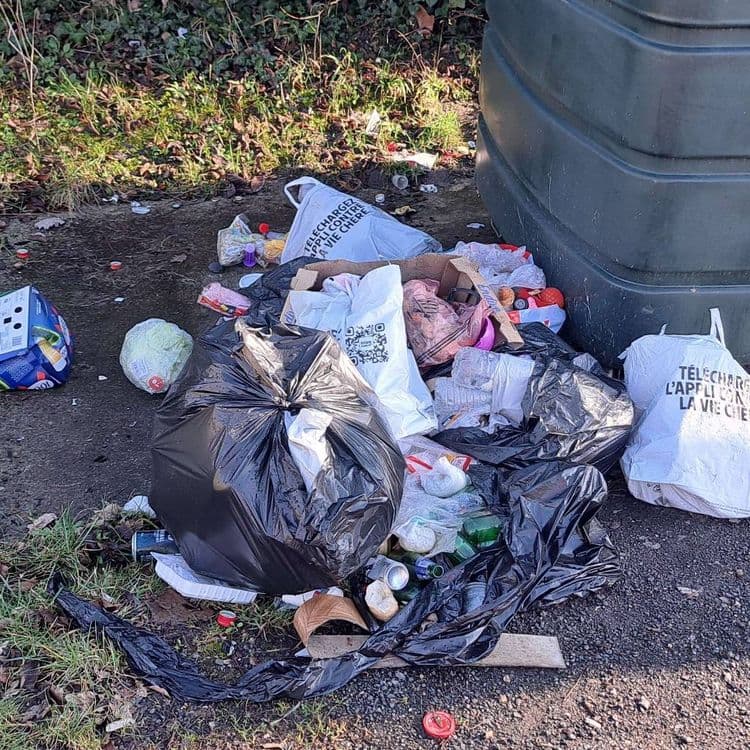 Voici une estimation des déchets présents sur le site :

*   **Sacs poubelles noirs :** Il y a au moins 3 sacs poubelles noirs bien remplis. On peut estimer le poids total de ces sacs entre 15 et 20 kg.

*   **Sacs en plastique divers (publicitaires, courses, etc.) :** On observe une quantité importante de sacs en plastique de différentes tailles et marques. Estimons leur poids total à environ 3-5 kg. On peut dénombrer une dizaine de sacs.

*   **Emballages carton (boîtes, etc.) :** Présence de cartons divers, en particulier un carton ouvert laissant entrevoir des objets à l'intérieur. Le poids total du carton pourrait être d'environ 2-3 kg. Il y a deux boites en carton.

*   **Déchets plastiques (bouteilles, emballages, etc.) :** Une quantité importante de déchets plastiques est visible, incluant des bouteilles, des emballages alimentaires, etc. On peut estimer le poids total à environ 4-6 kg. On peut voir une dizaine de bouteille.

*   **Déchets en verre (bouteilles) :** Plusieurs bouteilles en verre sont présentes. Estimons le poids total à environ 3-5 kg. Environ 5 bouteilles.

*   **Déchets organiques :** Un chou ou une salade est visible.

*   **Canettes et déchets métalliques :** On aperçoit quelques canettes et d'autres déchets métalliques. Estimons le poids total à environ 1-2 kg. On peut voir environ 5 canettes.

*   **Autres déchets divers :** Divers petits déchets épars (capsules, papiers, etc.).

En résumé, le poids total des déchets présents sur le site est estimé entre 35 et 50 kg.