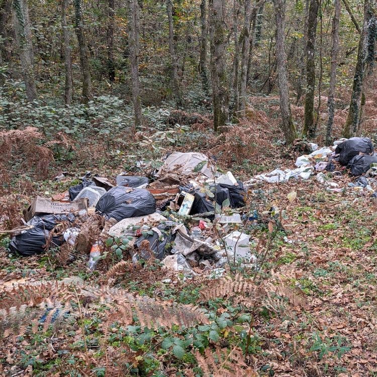Décharge sauvage ''énorme'', d'un reste de festivités ou d'un professionnel des métiers de bouche. L'environnement est dégradé par des odeurs et des restes de repas.