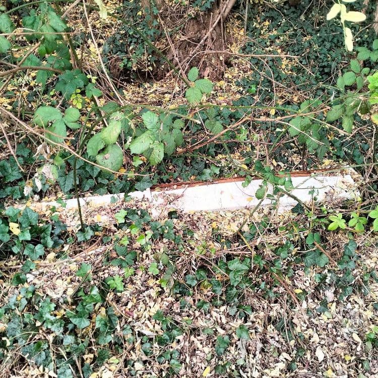 Planches de bois abandonnées sur un talus en bordure d'un parking public 