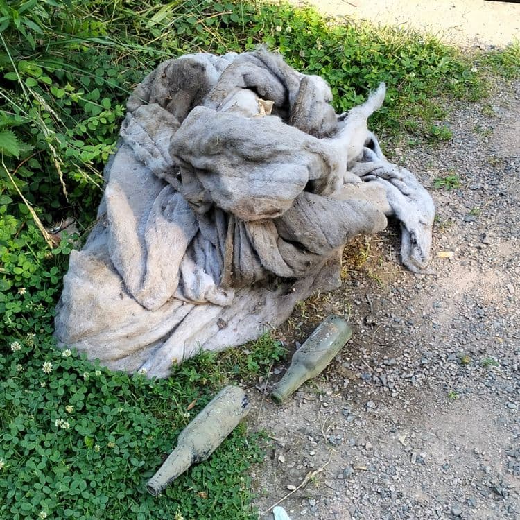 Déchets divers dans l'eau et sur la berge d'un ruisseau 