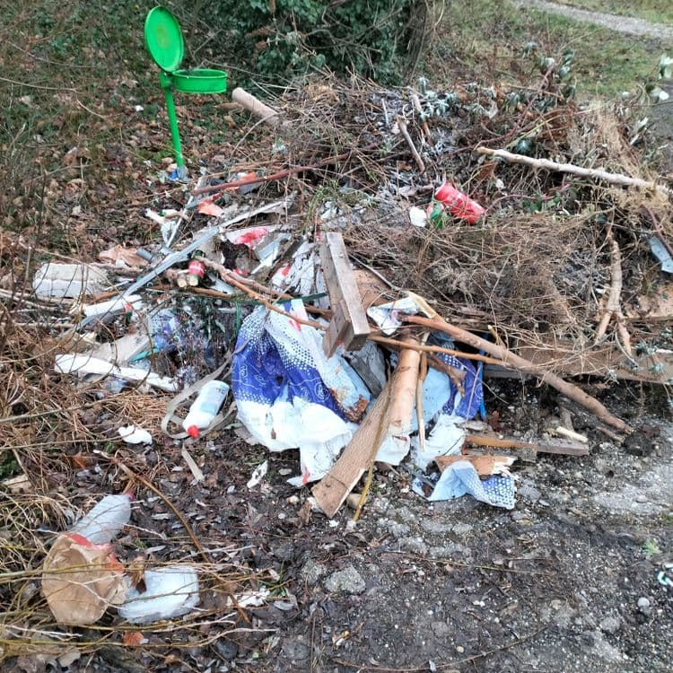 Déchets végétaux mélangés avec des déchets divers sur un parking public au bord du Rhin 