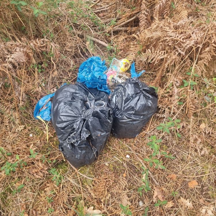 Sac poubelle avec de tout à l'intérieur sur avant dernier chemin avant le pont de l'autoroute, route Podensac/ St Michel 
(Côté virelade)