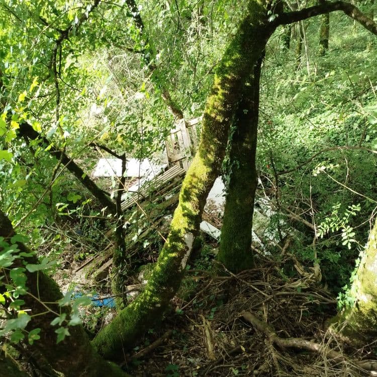 Vieux meubles, palettes...dans bois en contrebas chemin
