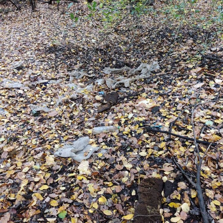 Dépôt des années 70 en forêt de Sénart commune de Quincy sous Sénart 91