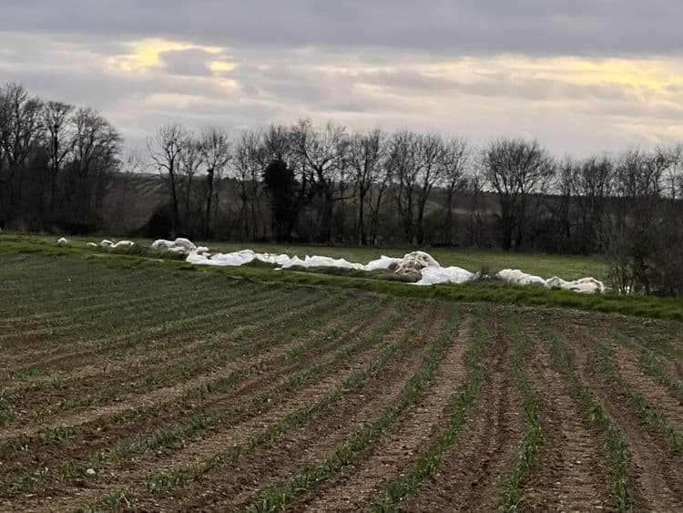 Énormément de Bâches plastiques