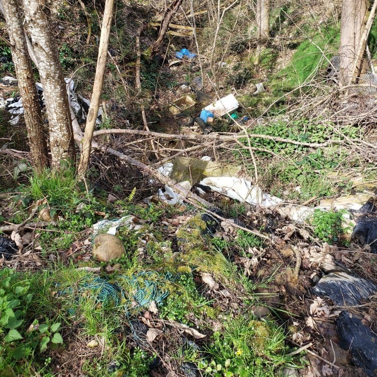 J'ai constaté un dépôt de déchets divers (bâches d'ensilage, vieil électroménager, bidons de produits divers, pneus,...) jetés dans un creux de colline, en lisière de forêt. Ce qui m'inquiète encore plus que la pollution déjà clairement visible, c'est que ce dépôt est situé sur un ruissellement d'eau se jetant dans la rivière Gers juste en dessous du creux.