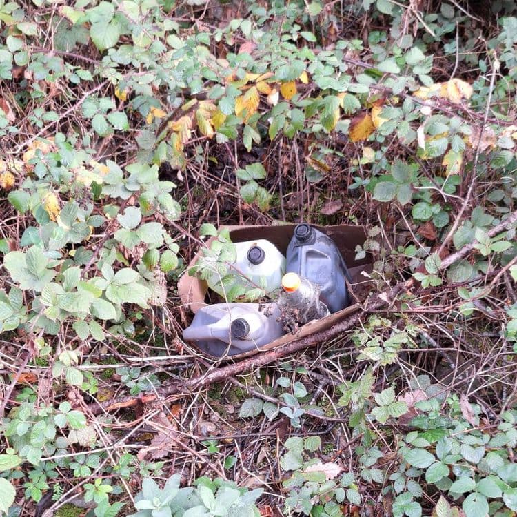 Voici l'analyse des déchets présents sur la photo :

Il y a plusieurs bidons en plastique, probablement d'huile moteur ou d'autres liquides automobiles, au nombre de trois, pour un poids estimé à 1 kg chacun. On y trouve également une bouteille en plastique d'environ 0.5 kg. Tous ces déchets sont rassemblés dans un carton dont le poids est estimé à 0.3 kg.

