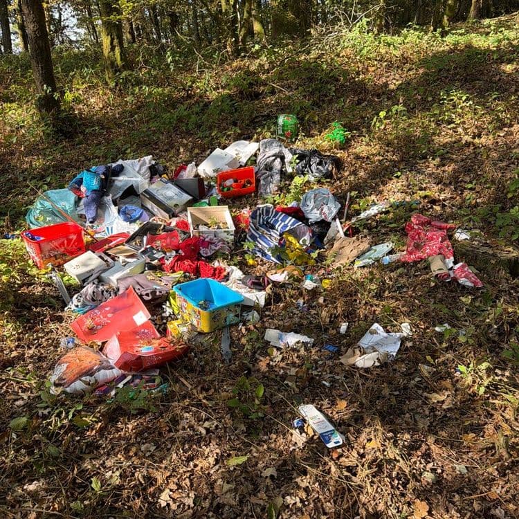 Les déchets abandonnés sur le site se composent principalement de plusieurs catégories.

On trouve une quantité importante de vêtements et textiles divers, estimée à environ 20 à 30 pièces, incluant des pulls, t-shirts et draps. Le poids de ces textiles est estimé entre 8 et 12 kilogrammes.

Des cartons et papiers d'emballage sont également présents en grand nombre, avec environ 15 à 20 boîtes en carton, comme des boîtes à chaussures ou des emballages cadeaux, ainsi que de nombreux morceaux de papier d'emballage. Leur poids est estimé entre 4 et 6 kilogrammes.

Plusieurs contenants et sacs en plastique ont été déposés, notamment 3 bacs de rangement en plastique de différentes couleurs, ainsi que plusieurs sacs plastiques et emballages souples. Le poids de ces éléments plastiques est estimé entre 3 et 5 kilogrammes.

Une bouteille en verre, de type bouteille de bière verte, est visible. Son poids est estimé à environ 0,5 kilogramme.

Un déchet électronique, sous la forme d'une télécommande ou d'un petit appareil similaire, est également présent. Son poids est estimé entre 0,1 et 0,2 kilogramme.

Enfin, des déchets ménagers résiduels, constitués de divers petits débris non identifiables précisément et dispersés sur le site, représentent un poids estimé entre 2 et 3 kilogrammes.
