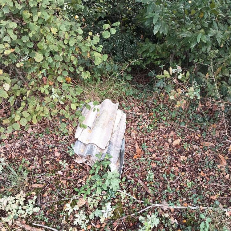 Photo du dépôt signalé