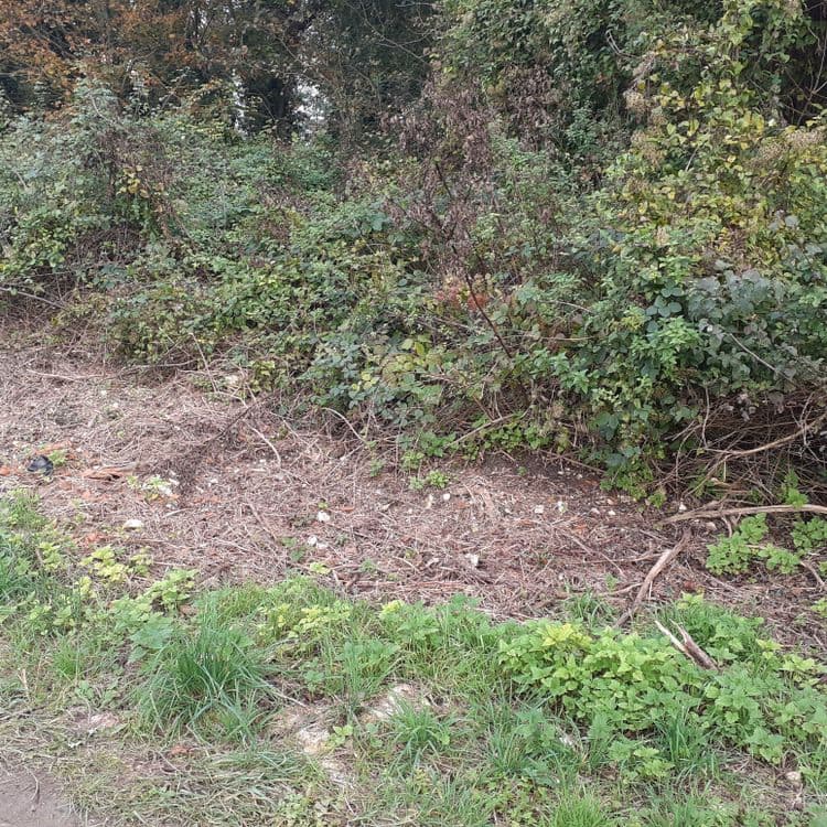 Gravats, plastiques 
