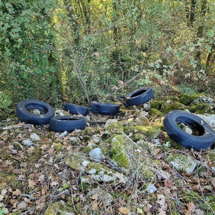 Dépôt sauvage d'une bonne demi douzaine de pneus + pneus vélo 