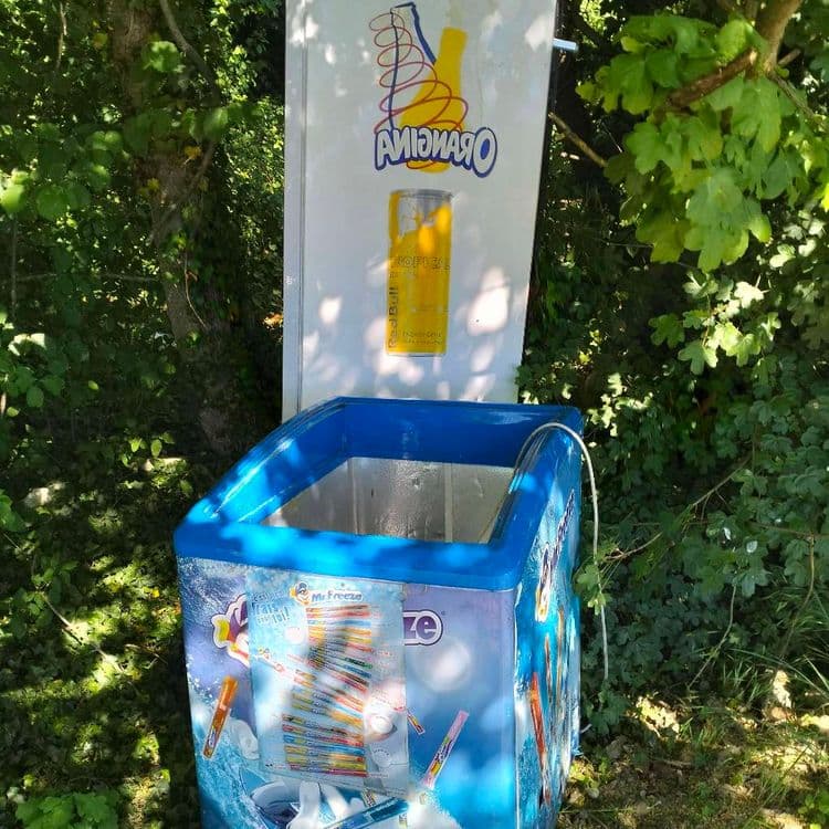 Frigo et meuble congélateur professionnels abandonnés au bord d'un bois 