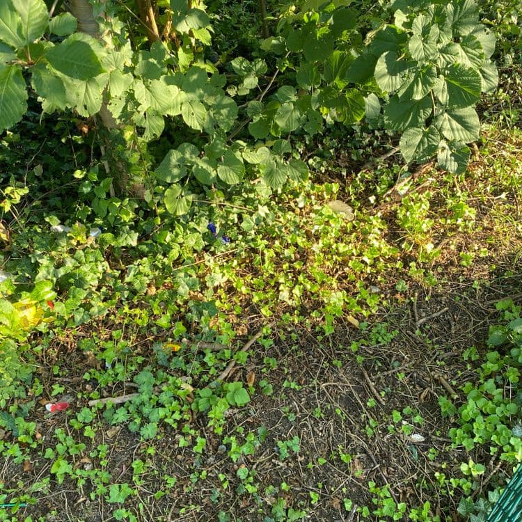 Voici une estimation des déchets présents sur le site :

Plusieurs canettes en aluminium de boisson, probablement de soda ou de boisson énergisante, sont visibles. On peut estimer le poids total de ces canettes à environ 0,15 kg, pour une quantité d'environ 3 canettes.

D'autres déchets non identifiables sont éparpillés sur la zone, leur poids est estimé à environ 0,05kg.
