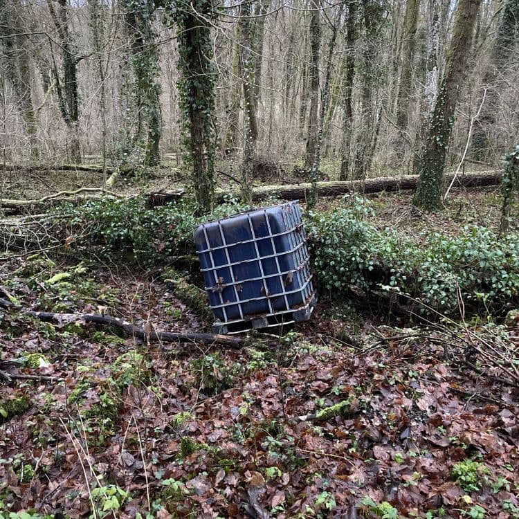 Récupérateur d’eau de pluie en plein bois
