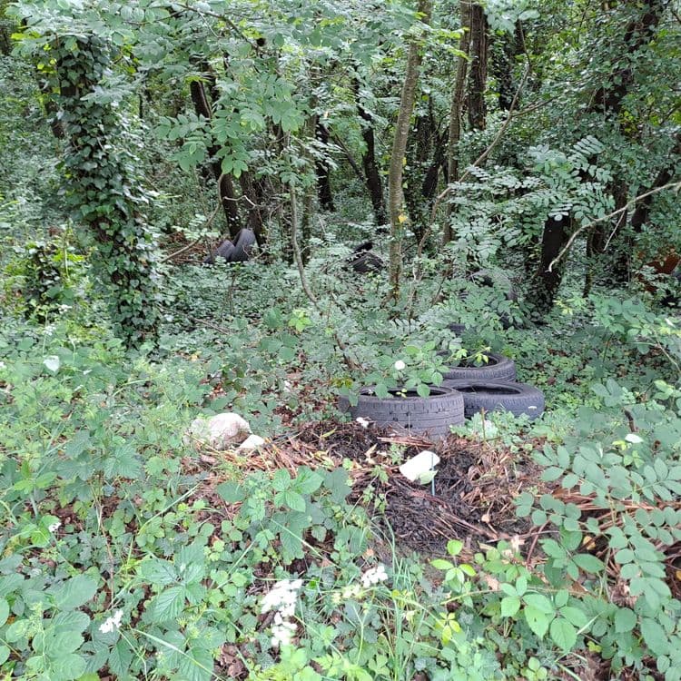 Voici une estimation des déchets présents sur les images :

*   **Pneus** : On observe 3 pneus sur la première image. Le poids d'un pneu de voiture varie généralement entre 7 et 12 kg, donc on peut estimer le poids total des pneus entre 21 et 36 kg.
*   **Mobilier** : Sur la deuxième image, on distingue une partie de fauteuil ou de siège. Compte tenu de sa taille et de son état, son poids pourrait être estimé entre 5 et 10 kg.
*   **Déchets plastiques** : On observe des sacs en plastique, des emballages divers et potentiellement des films plastiques éparpillés. La quantité est difficile à évaluer visuellement, mais on pourrait estimer un volume de 20 litres pour un poids compris entre 2 et 5 kg.
*   **Déchets divers** : On remarque également des déchets divers tels que des morceaux de bois, des textiles, et d'autres objets non identifiables avec précision. On pourrait estimer un volume de 30 litres et un poids combiné de 5 à 10 kg.
