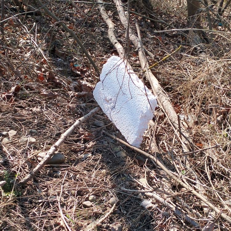 Déchets de polystyrène jetés au bord de la route 