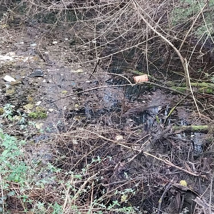 Divers déchets certain depuis plusieurs années 