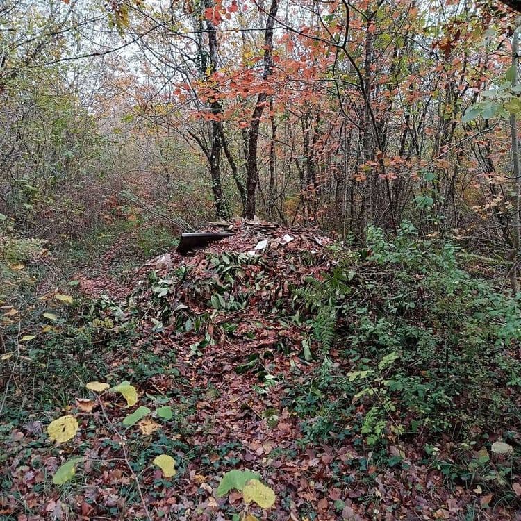 Dépôt sauvage de gravats et verdure le long du chemin de randonnée 
