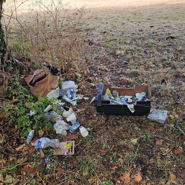 Plastique, caddie, emballage nourriture, pneu voiture. Sur 500 mètres le long de la rivière.