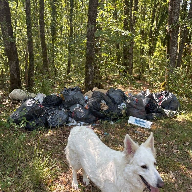 Il y a un tas de sacs-poubelle avec surtout des déchets ménagers, une cinquantaine de sacs-poubelle de 50 l à peu près,