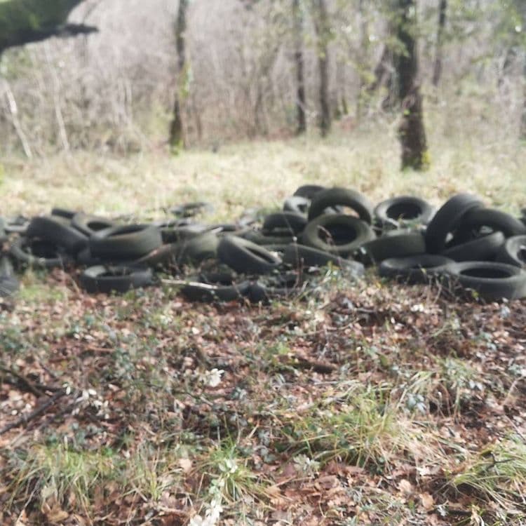 Amas d'une centaine de pneus dans les bois.