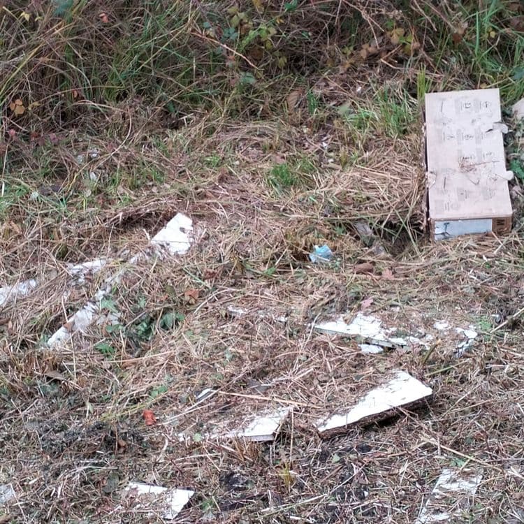 Pneu usagé, cartons d'emballage et déchets divers abandonnés dans un fossé le long d'une route 