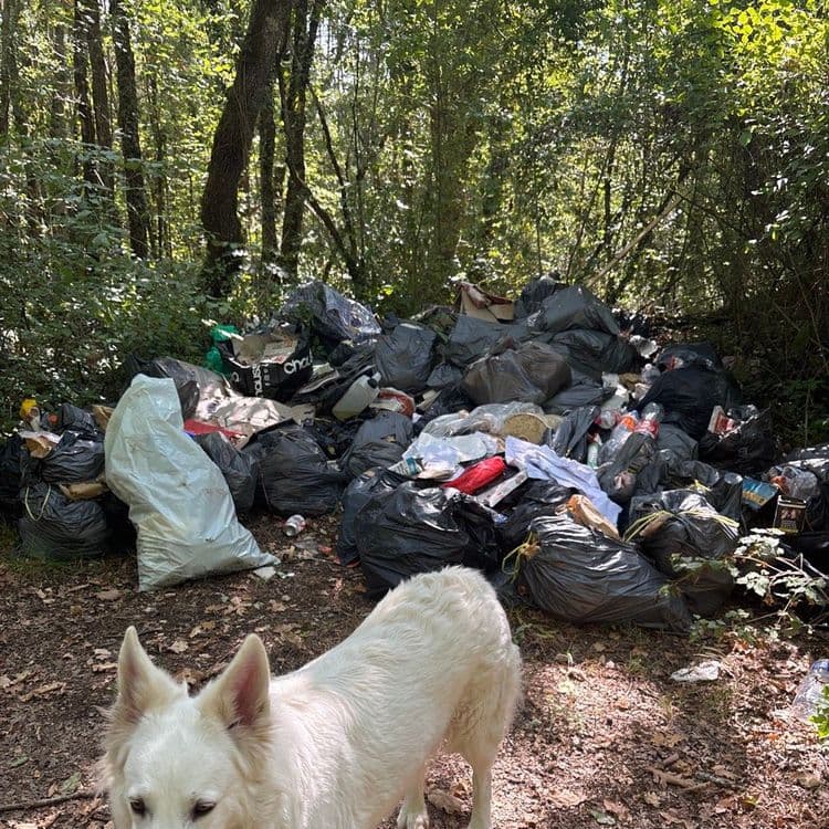Il y a une vingtaine de mètres carrés de sacs-poubelle, de déchets, en tout genre dont des produits toxiques, des déchets ménagers…