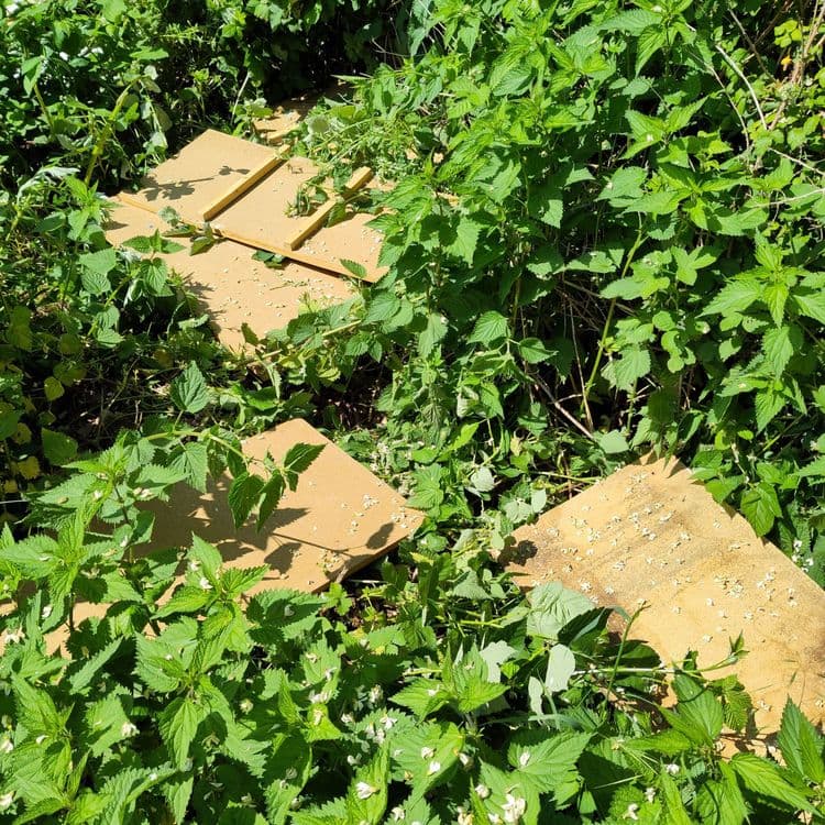 Panneaux de bois en aggloméré + cartons, déchets de tonte. Récurent à cet endroit. 