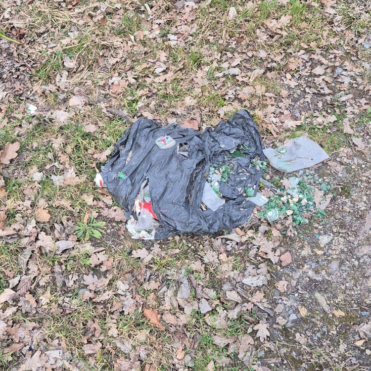Verres plastiques 