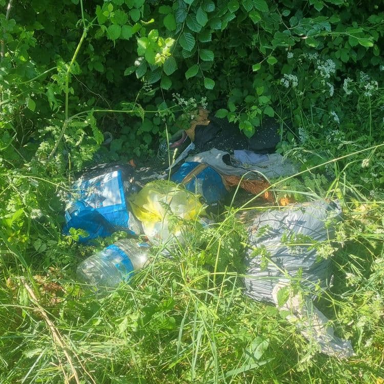 Divers déchets plastiques, tissu, verre etc... dans le chemin entre la route de Maisonneuve et la rue de la Poyade. Chemin qui n'est plus entretenu et qui encourage ce genre de pratique ! 