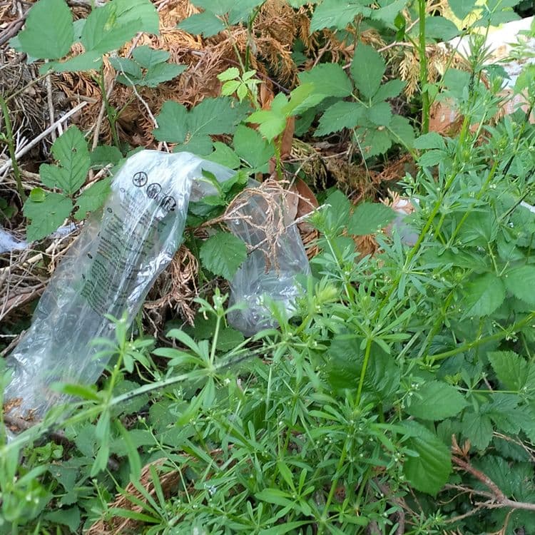 Cartons, emballage plastique abandonnés au bord d'un chemin forestier 