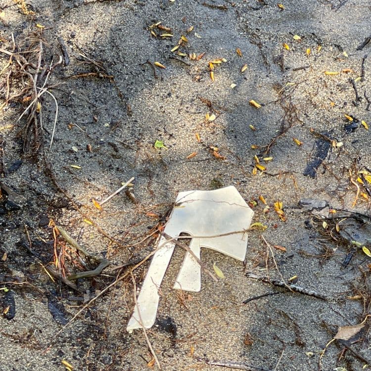 Sur la photo, on observe un morceau de plastique transparent, probablement un fragment d'emballage ou de sac. La quantité estimée est d'un seul morceau, et son poids est négligeable, probablement moins de 0.01 kg.
