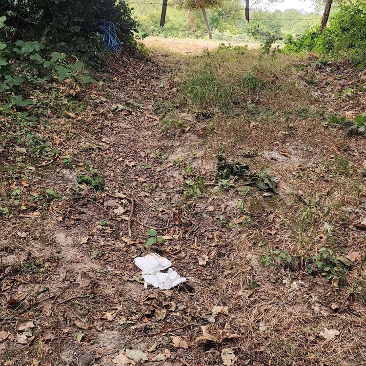 Les déchets abandonnés comprennent des emballages légers, estimés à 2 ou 3 unités pour un poids total d'environ 0,05 kilogramme.