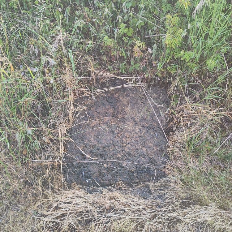 Voici une estimation des déchets présents sur les images :

- Débris végétaux secs (branches, herbe fauchée) : Estimation de 0.5 kg, quantité importante éparpillée sur la zone.
- Morceau de plastique fin (type sac, emballage) : Estimation de 0.01 kg, 1 unité visible.
- Débris non identifiés (possible décomposition organique) : Estimation de 1 kg, une zone concentrée visible.
- Un anneau métallique (type porte clé) : Estimation de 0.005 kg, une unité visible.
