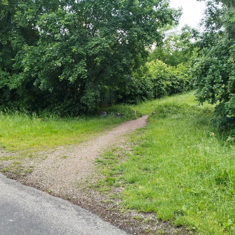 Sacs poubelles en lisière d'un chemin d'accès à des jardins ouvriers 