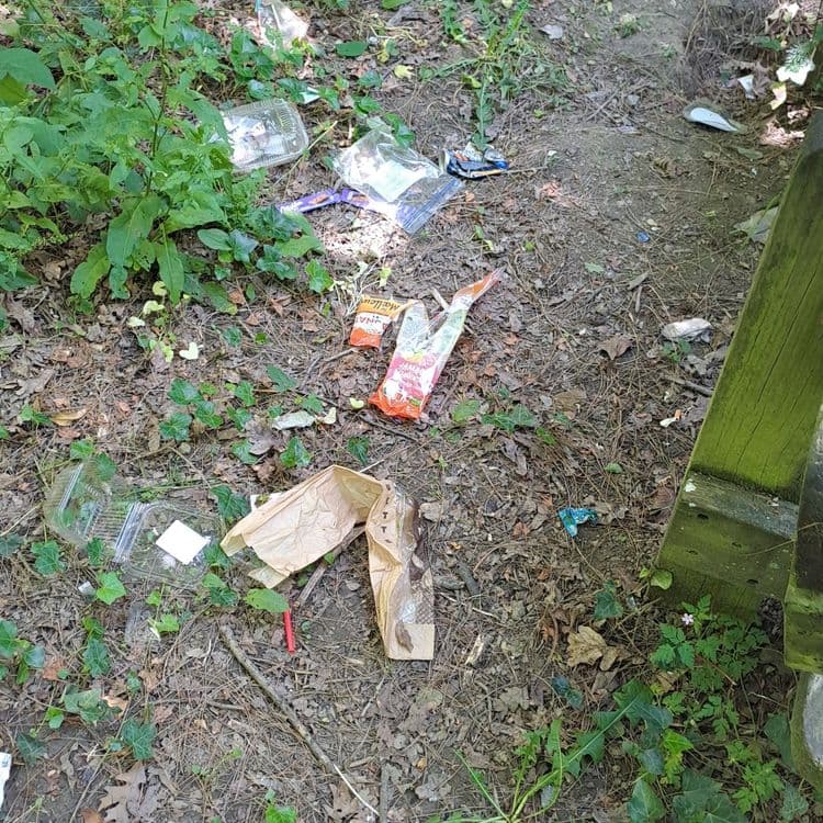 Plein de déchets derrière le banc
