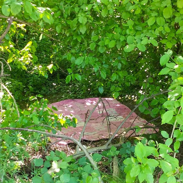 Tapis abandonné dans un bois au bord d'une route d'accès à un parking relais tram