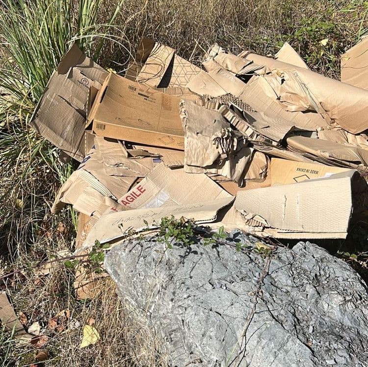 Les déchets abandonnés sur le site se composent principalement de cartons d'emballage. Il s'agit d'une quantité importante de cartons bruns, pour la plupart aplatis et déstructurés. Le poids estimé pour ces cartons est d'environ 30 kilogrammes, représentant une trentaine à une quarantaine d'unités de tailles variées.

Un lien de cerclage en plastique de couleur jaune est également présent. Son poids est estimé à moins de 0,1 kilogramme, pour une seule unité.

Enfin, un petit fragment de papier ou une étiquette est visible. Son poids est négligeable, estimé à moins de 0,01 kilogramme, pour une seule unité.