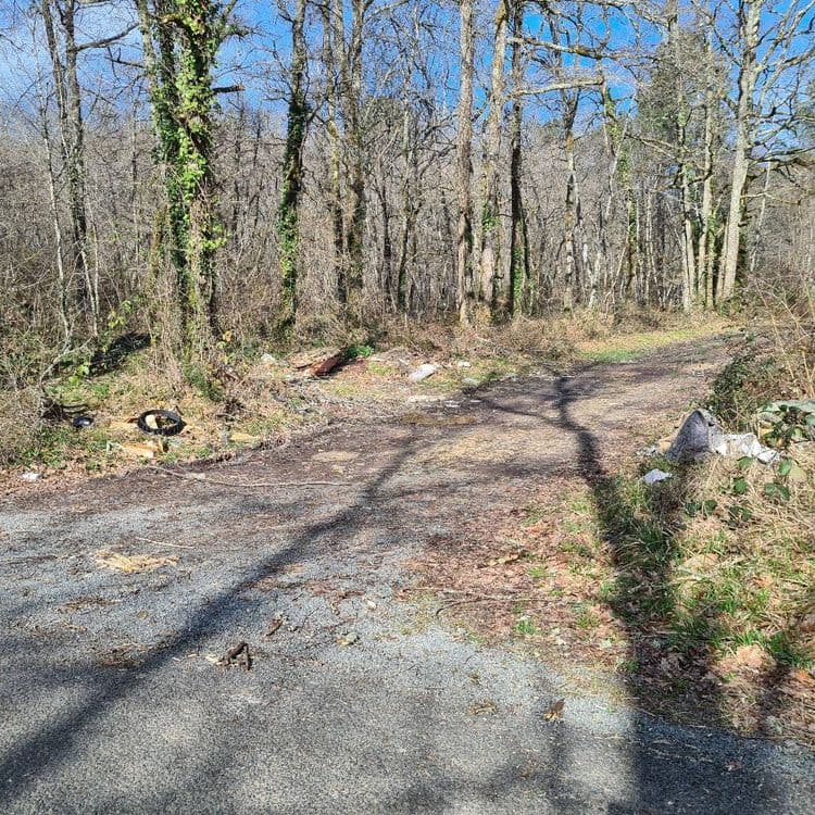 Analyse des déchets présents sur l'image :

L'image révèle la présence de plusieurs types de déchets abandonnés. On observe un pneu usagé, estimé à environ 10 kg. Des déchets plastiques, comprenant des sacs et divers emballages, sont également visibles, représentant un volume d'environ 2 kg. Enfin, des déchets de bois, potentiellement issus d'élagage ou de construction, sont présents, avec une estimation de poids d'environ 5 kg. La quantité est d'un pneu, d'une grande quantité de déchet plastique, et une petite quantité de bois.
