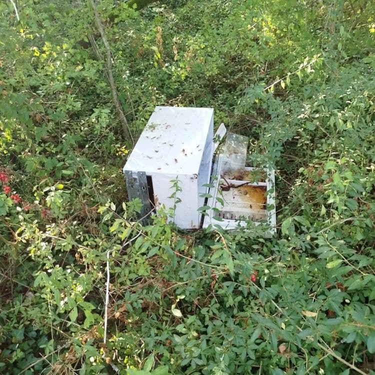 Frigo, à 3 m du chemin dans le bois