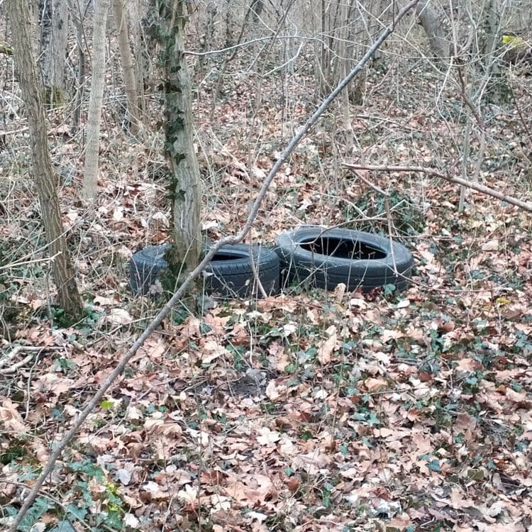 Deux pneus usagés abandonnés en pleine forêt 